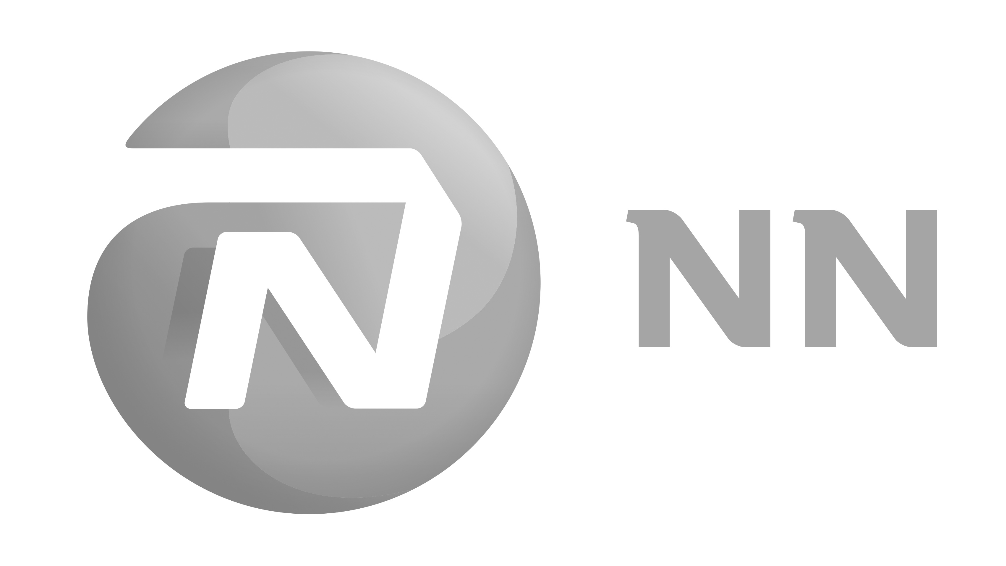 NN logo grey